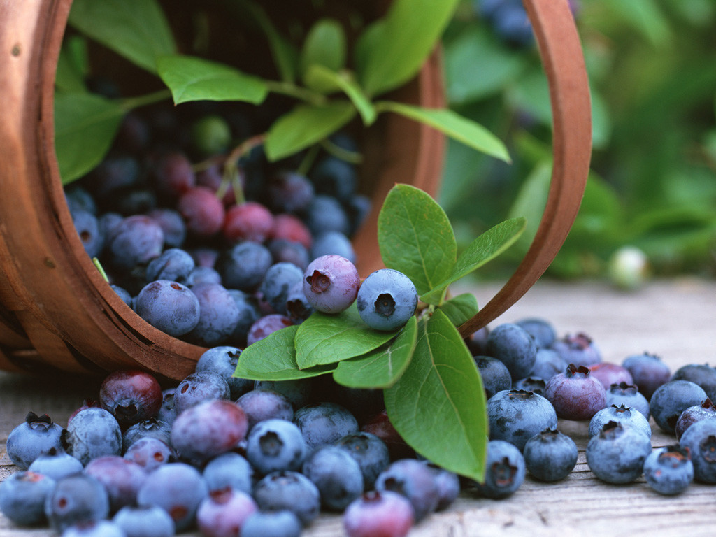 10 Tác Dụng Tuyệt Vời Của Quả Việt Quất ( Blueberry)